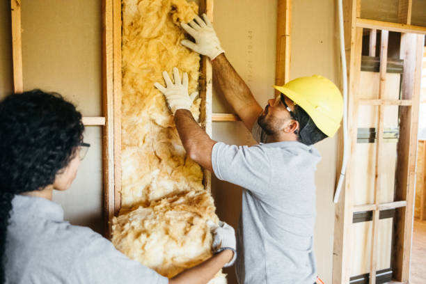 Best Batt and Roll Insulation  in Charlotte, TX