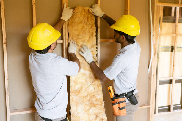 Insulation Air Sealing in Charlotte, TX